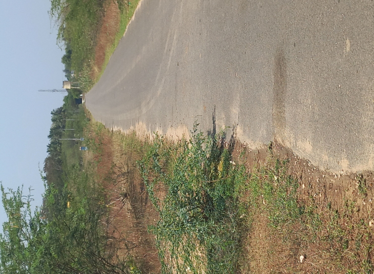 Agricultural farm land for sale in Sulur
