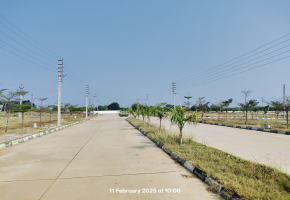 200 Sq.Yards Plot for sale in Shadnagar