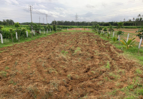 6536 Sq.Ft Plot for sale in Devanahalli