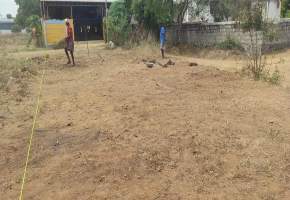 1570 Sq.Ft Plot for sale in Pappampatti Pirivu