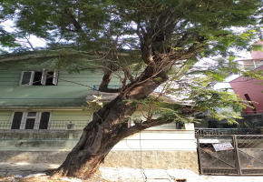 1 BHK Villa for sale in Girinagar