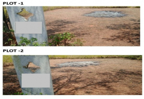 2326 Sq.Ft Plot for sale in Devanahalli
