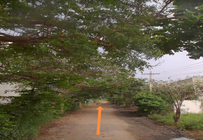 2400 Sq.Ft Plot for sale in Singanallur