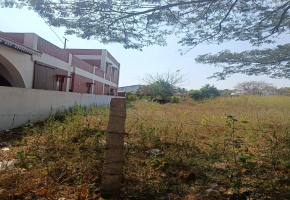 8 Cents Plot for sale in NGGO Colony