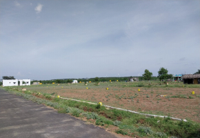 1000 Sq.Ft Plot for sale in Appanaickenpatti
