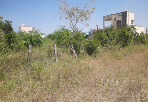 13 Cents Plot for sale in Idikarai