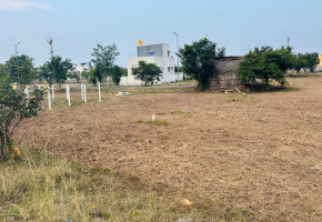 1200 Sq.Ft Plot for sale in Thiruvallur