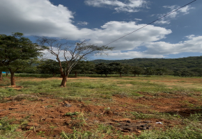 130 Cents Plot for sale in ANAIKATTI