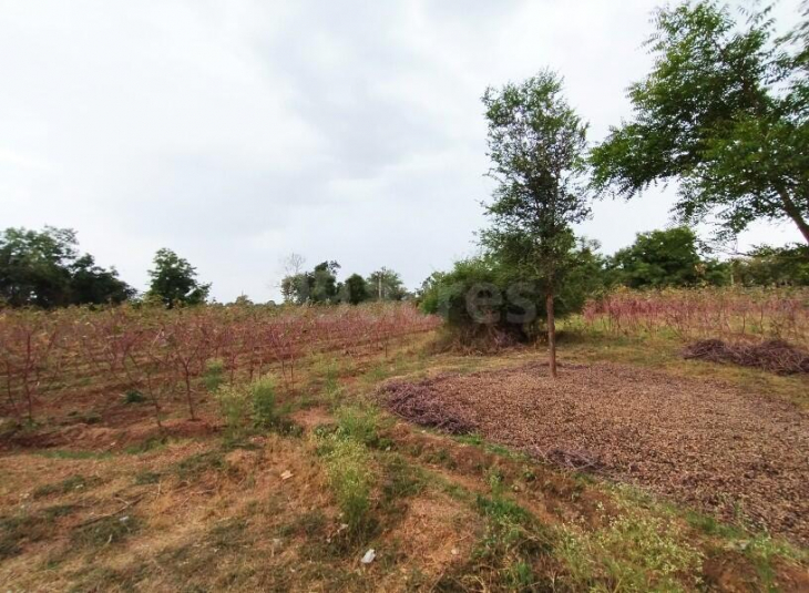 Agricultural farm land for sale in Herohalli