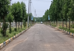 217 Sq.Yards Plot for sale in Yacharam
